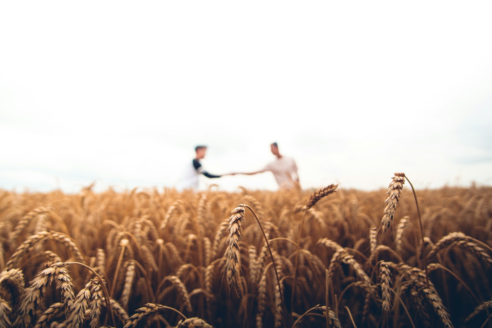 Trusted business partnership in agricultural trade