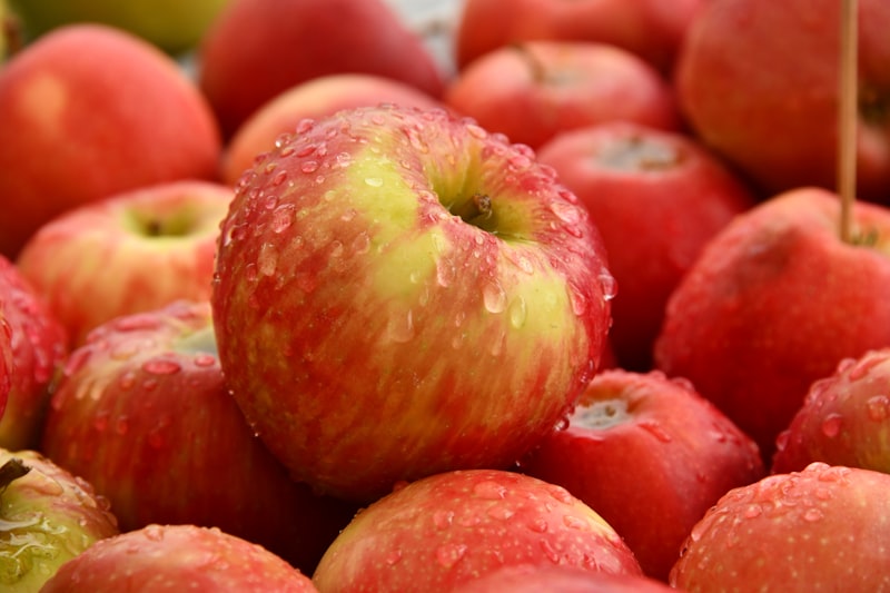 Fresh red apples at wholesale market